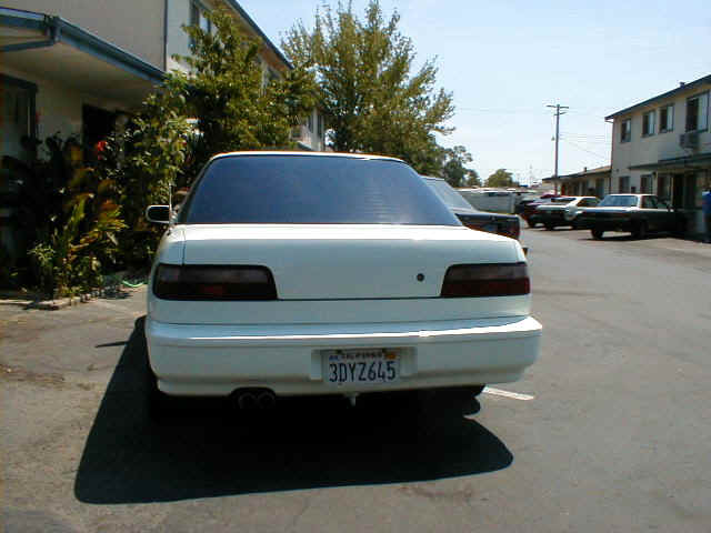 back 1.JPG (103376 bytes)