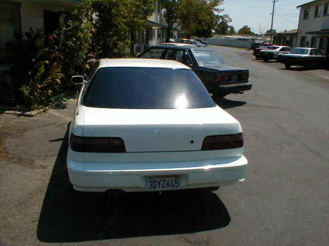 back 2.JPG (99873 bytes)