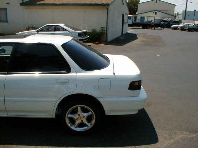 l side 3.JPG (89983 bytes)