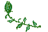 rosePOEM.gif (3121 bytes)