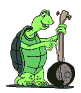 turtle1.gif (18242 bytes)